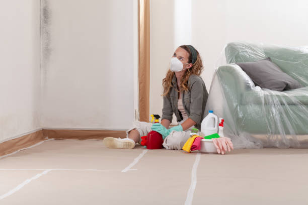 Reliable Mold Cleanup contractor in Englewood Cliffs, NJ by WQB Mold Removal